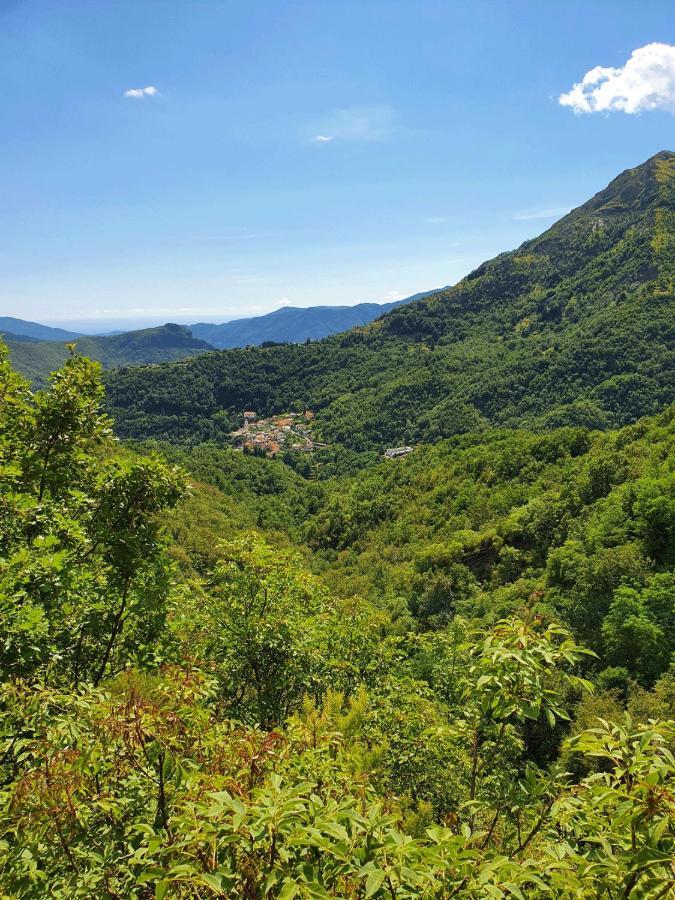 Il Bosco Di Campo Marzano Green & Sky Daire Borzonasca Dış mekan fotoğraf