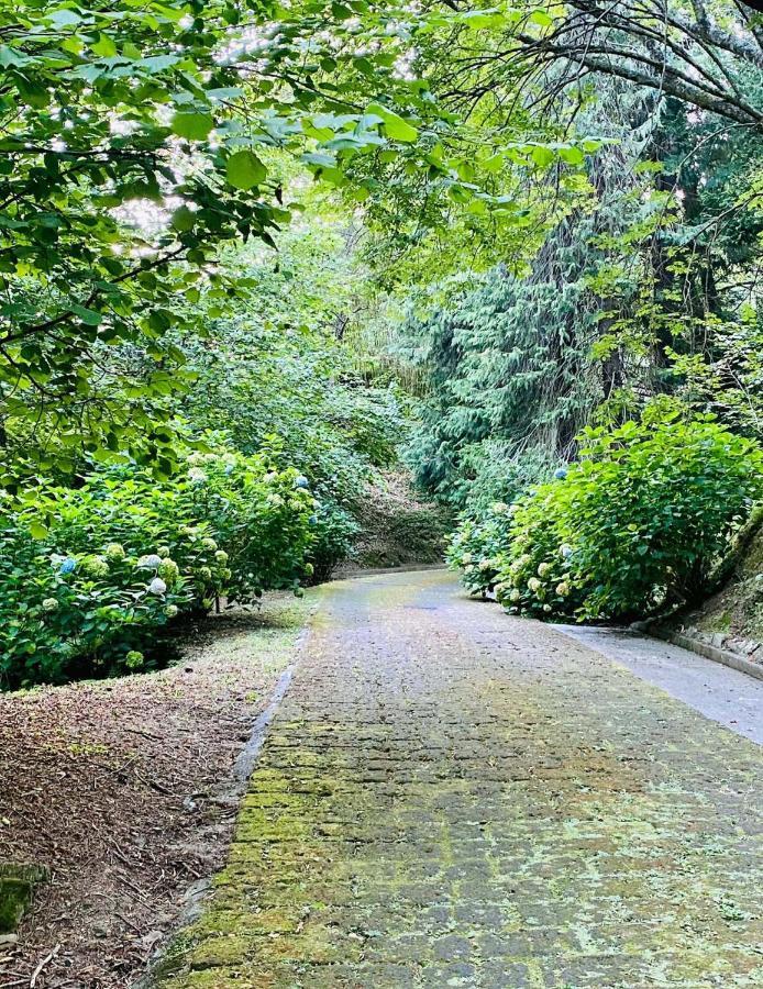 Il Bosco Di Campo Marzano Green & Sky Daire Borzonasca Dış mekan fotoğraf