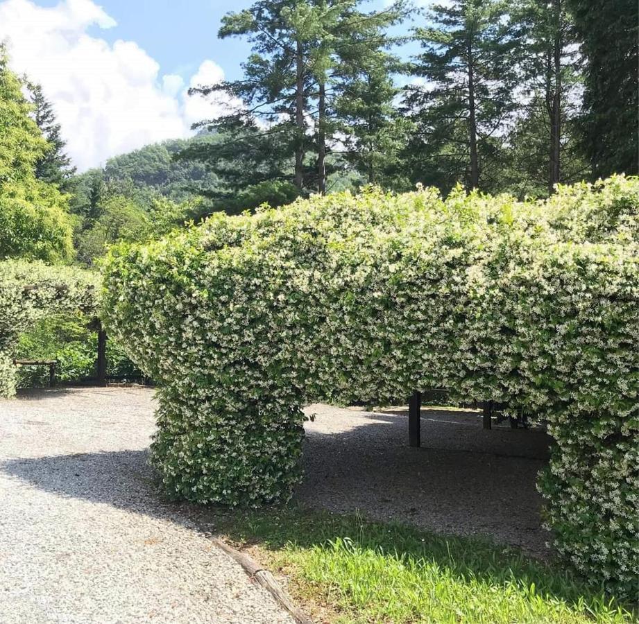 Il Bosco Di Campo Marzano Green & Sky Daire Borzonasca Dış mekan fotoğraf