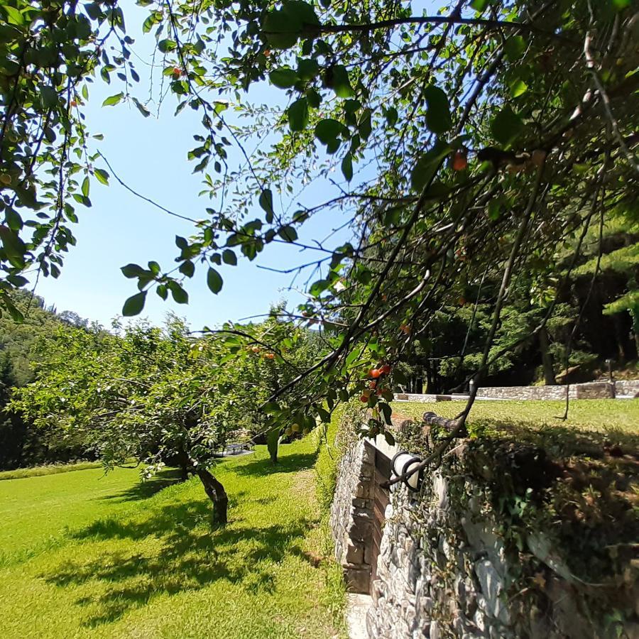 Il Bosco Di Campo Marzano Green & Sky Daire Borzonasca Dış mekan fotoğraf