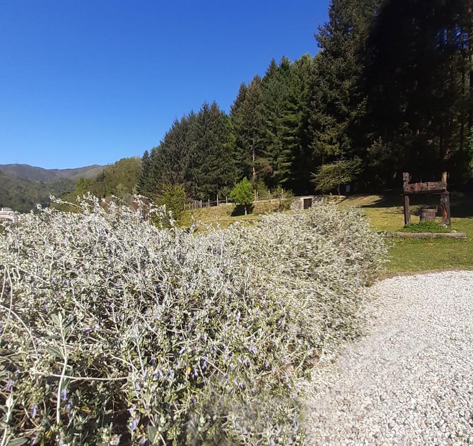 Il Bosco Di Campo Marzano Green & Sky Borzonasca Dış mekan fotoğraf