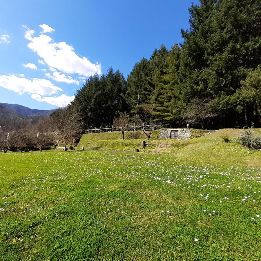 Il Bosco Di Campo Marzano Green & Sky Daire Borzonasca Dış mekan fotoğraf