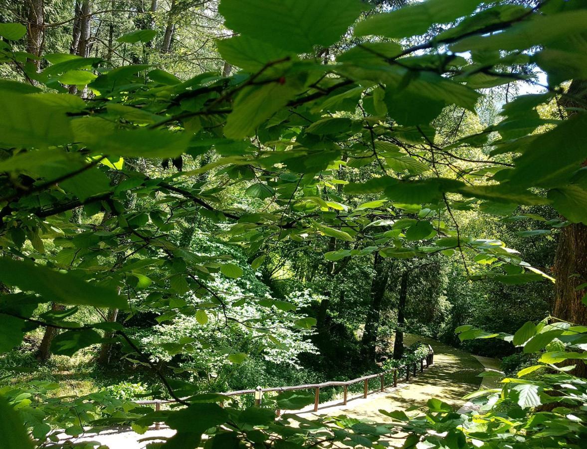 Il Bosco Di Campo Marzano Green & Sky Borzonasca Dış mekan fotoğraf